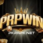 PRPWIN